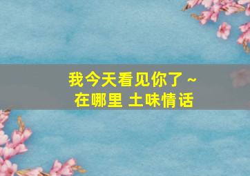 我今天看见你了～在哪里 土味情话